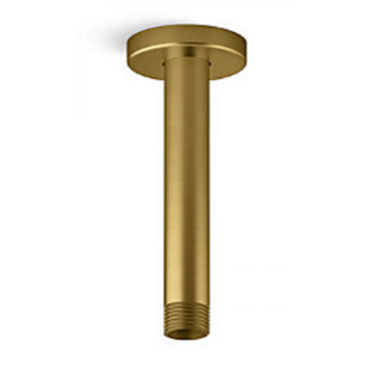 Kohler K-26326T-2MB STATEMENT 10吋 多功能天花板式頭頂花灑臂 (羅曼黃銅)